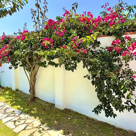 Дом отдыха Casa Do Candeeiro Обидуш